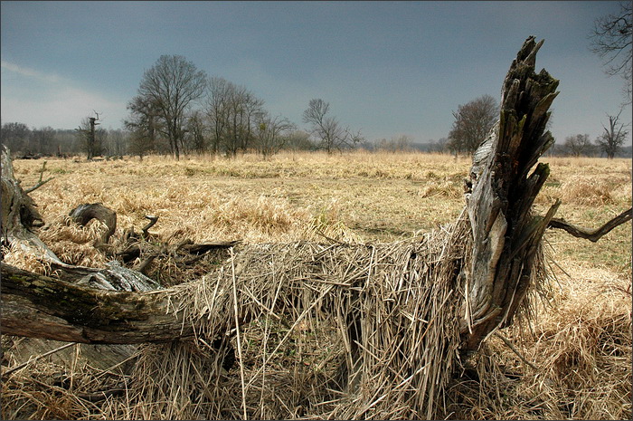 Příšerky z Pohanska s.r.o.