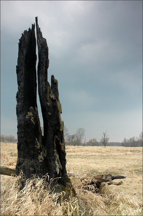 Příšerky z Pohanska s.r.o.
