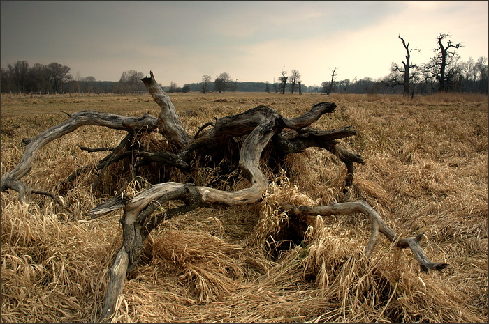Příšerky z Pohanska s.r.o.
