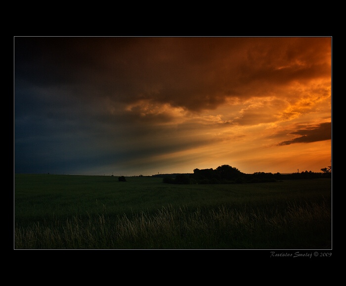 zpráva z letní noci