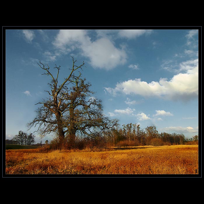 ...Filemon a Baukis...