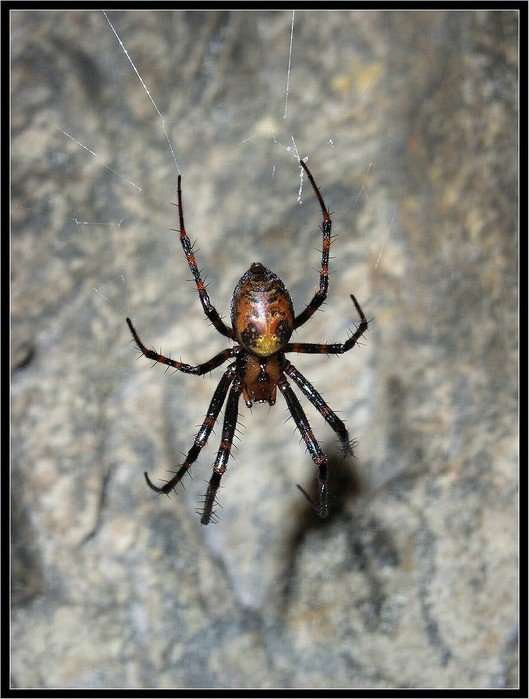 jen si tak podřimuju a čekám na jaro