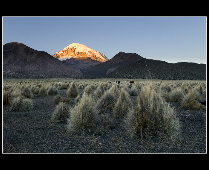 Sajama NP