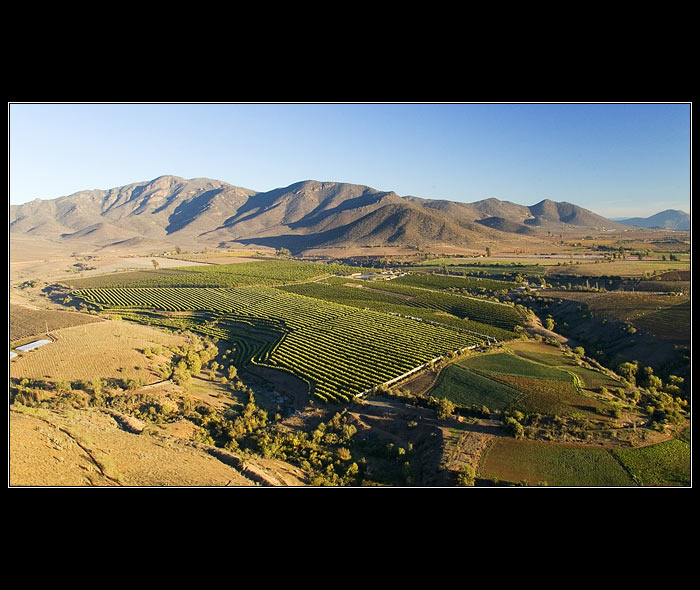 Ovalle