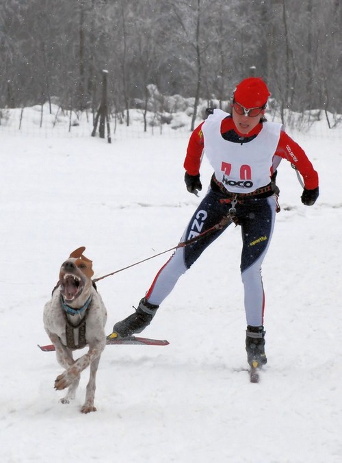 Sněžník ještě jednou