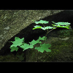 .: MALÝ POD SKALOU :.