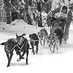 Tři studně 2009 II.