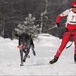 mushing