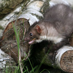 "A dejte si na mně pozor..!"