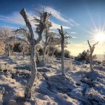 Příjemné odpoledne