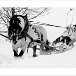 Domov Anča! domov...