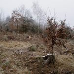 Pořád ještě zimní