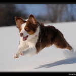 ..už letííím..... :-)