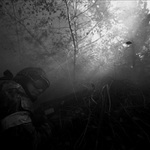 právě ustřelený lístek