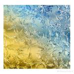 ...Ľadvá krása....