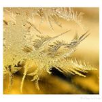 ...Ked zima čaruje...I...