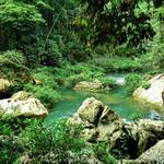 ...Welcome to the jungle...