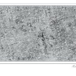 Autor - Zima 08 (II)