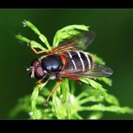  tvrdší přistání