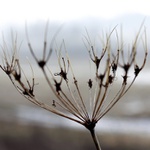 ...skoro jako podzim