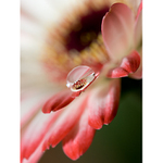 Through the magnifying eye