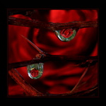 O růžích a trnech