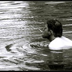 Tak tohle asi není Venclovský :-)