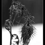 ...hlavně se nenechat zlomit !