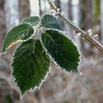 Poslední dotyky zimy