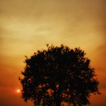 Tam, kde končia dni...