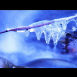 Pani zima, vždy schladí ma