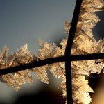 namrzlý drát ve východu slunce