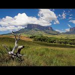 Cesta ke stolovým horám