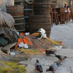 siestra v prístave 2