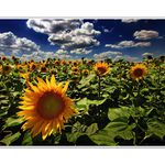 Ja chcem letóóó!!