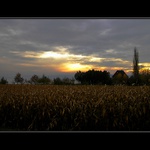 Zapad Nad Bodanskym Jazerom