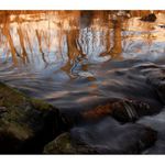 malování na Ploučnici