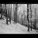 v hlbinách karpatských