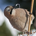 učím se šplhat, víte :)