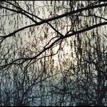 .... taková jedna starší náladovka ....