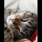 *ještě chvíli ...*