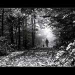 Pes přítel člověka