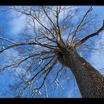 Modrá, bílá, hnědá