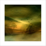 *** A jitra jsou zde tichá ... ***