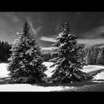 ... tudy cesta nevede ...