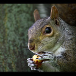 ... to je dobrota !! ...