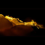 *** KAPKOVÉ PANORAMA ***