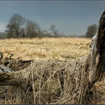 Příšerky z Pohanska s.r.o.