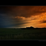 zpráva z letní noci