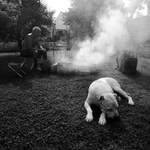 nesnesitelná lehkost bytí